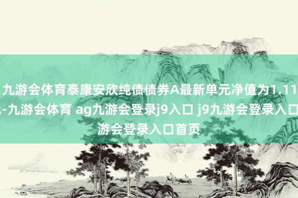 九游会体育泰康安欣纯债债券A最新单元净值为1.1125元-九游会体育 ag九游会登录j9入口 j9九游会登录入口首页