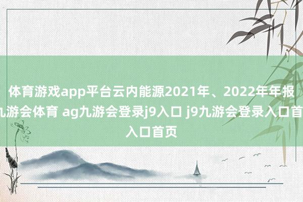 体育游戏app平台云内能源2021年、2022年年报-九游会体育 ag九游会登录j9入口 j9九游会登录入口首页