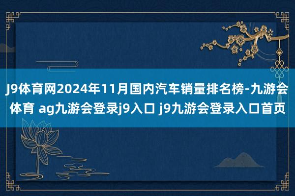 J9体育网2024年11月国内汽车销量排名榜-九游会体育 ag九游会登录j9入口 j9九游会登录入口首页