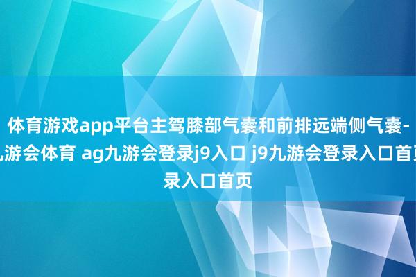 体育游戏app平台主驾膝部气囊和前排远端侧气囊-九游会体育 ag九游会登录j9入口 j9九游会登录入口首页