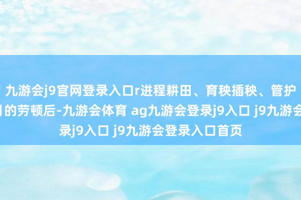 九游会j9官网登录入口r进程耕田、育秧插秧、管护等为期8个多月的劳顿后-九游会体育 ag九游会登录j9入口 j9九游会登录入口首页