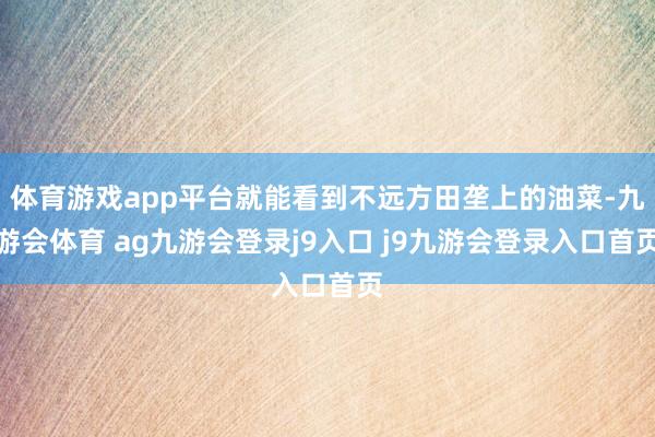 体育游戏app平台就能看到不远方田垄上的油菜-九游会体育 ag九游会登录j9入口 j9九游会登录入口首页