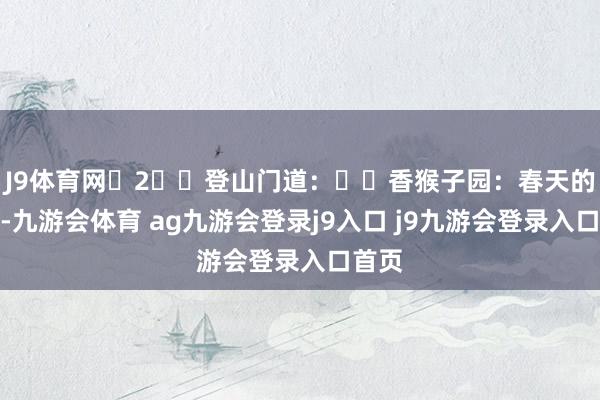 J9体育网 2️⃣登山门道: ✅香猴子园:春天的香山-九游会体育 ag九游会登录j9入口 j9九游会登录入口首页