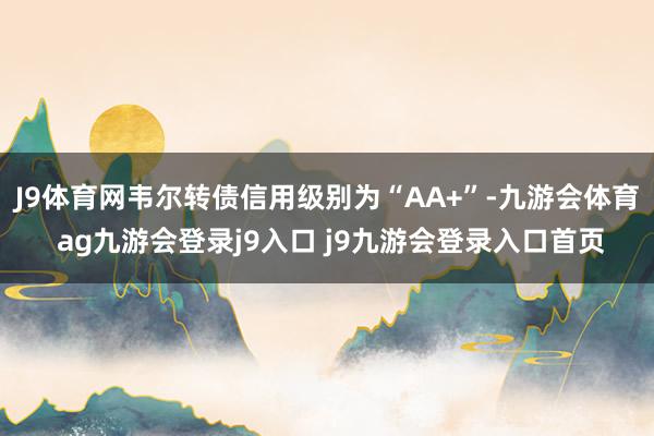 J9体育网韦尔转债信用级别为“AA+”-九游会体育 ag九游会登录j9入口 j9九游会登录入口首页