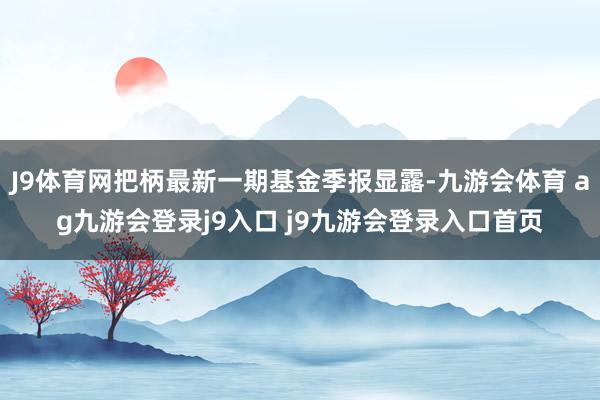 J9体育网把柄最新一期基金季报显露-九游会体育 ag九游会登录j9入口 j9九游会登录入口首页