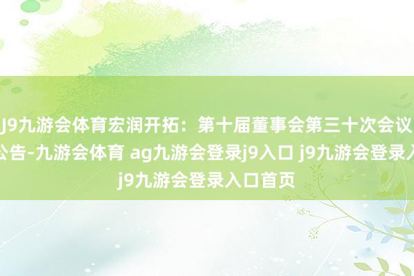 J9九游会体育宏润开拓：第十届董事会第三十次会议有贪图公告-九游会体育 ag九游会登录j9入口 j9九游会登录入口首页