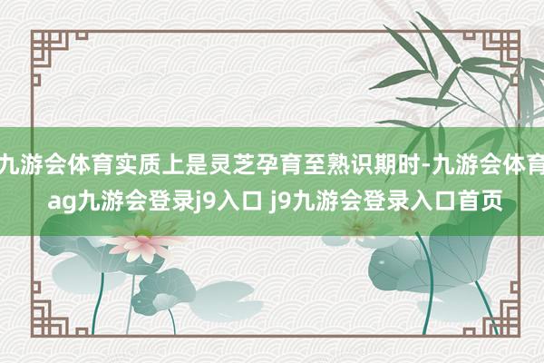 九游会体育实质上是灵芝孕育至熟识期时-九游会体育 ag九游会登录j9入口 j9九游会登录入口首页