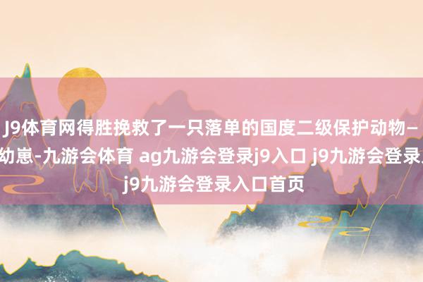 J9体育网得胜挽救了一只落单的国度二级保护动物——猫头鹰幼崽-九游会体育 ag九游会登录j9入口 j9九游会登录入口首页