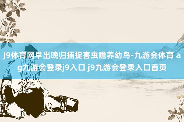 J9体育网早出晚归捕捉害虫赡养幼鸟-九游会体育 ag九游会登录j9入口 j9九游会登录入口首页