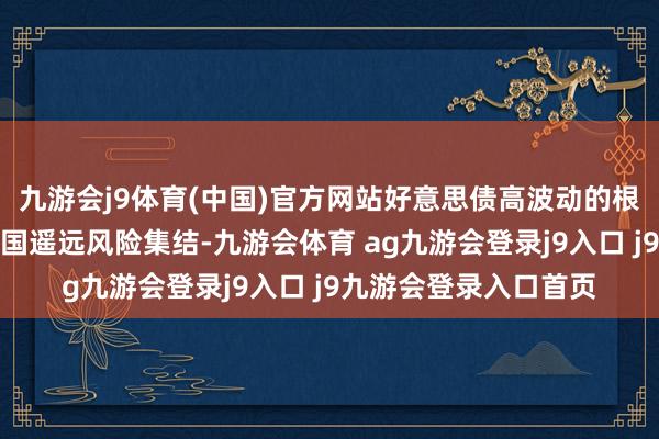 九游会j9体育(中国)官方网站好意思债高波动的根柢原因或在于好意思国遥远风险集结-九游会体育 ag九游会登录j9入口 j9九游会登录入口首页
